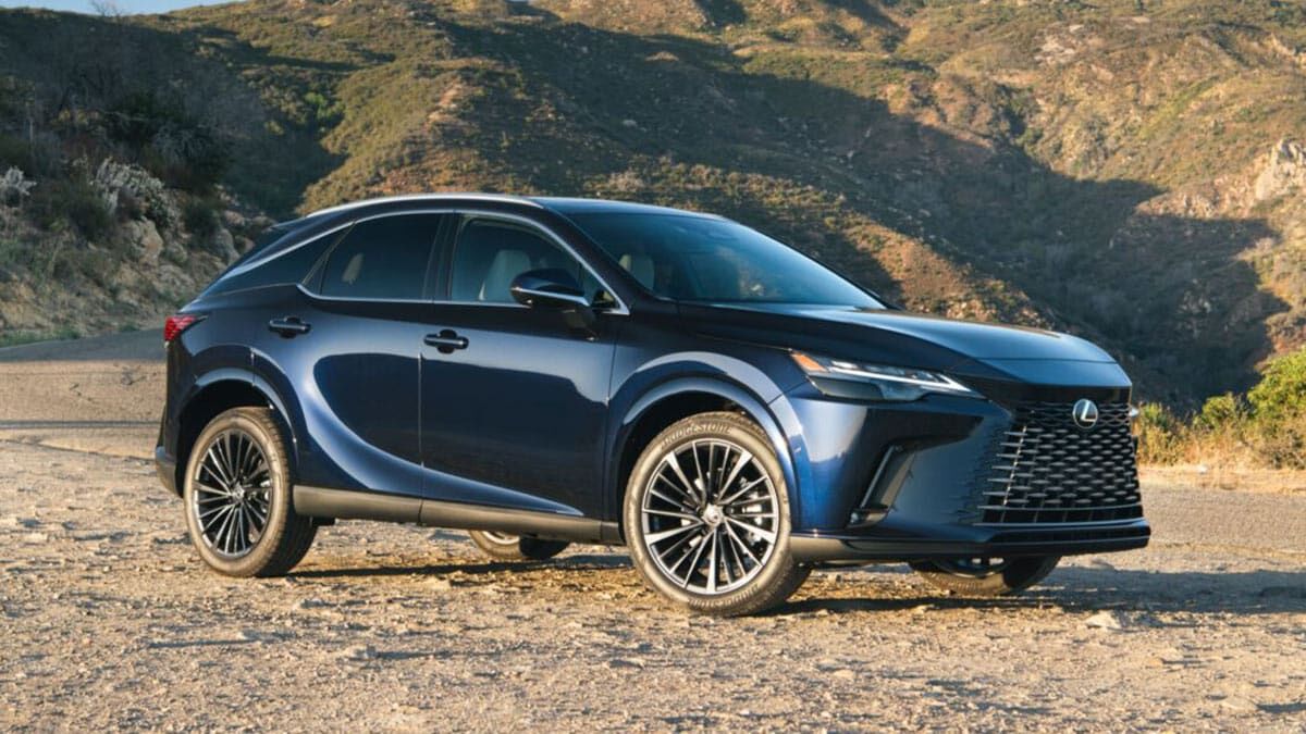 2025 Lexus RX parked on dirt roads.