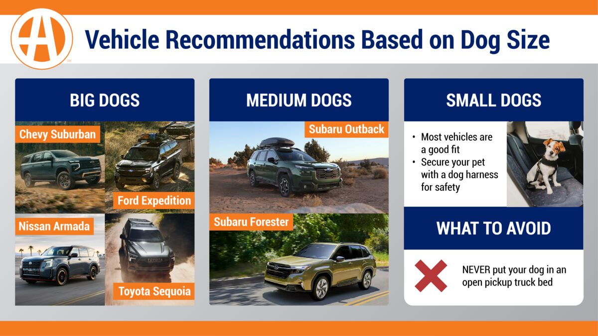 Vehicle Recommendations Based on Dog Size
For Big Dogs: Chevy Suburban, Ford Expedition, Nissan Armada, Toyota Sequoia
For Mediums Dogs: Subaru Outback, Subaru Forrester
Most vehicles are okay for small dogs