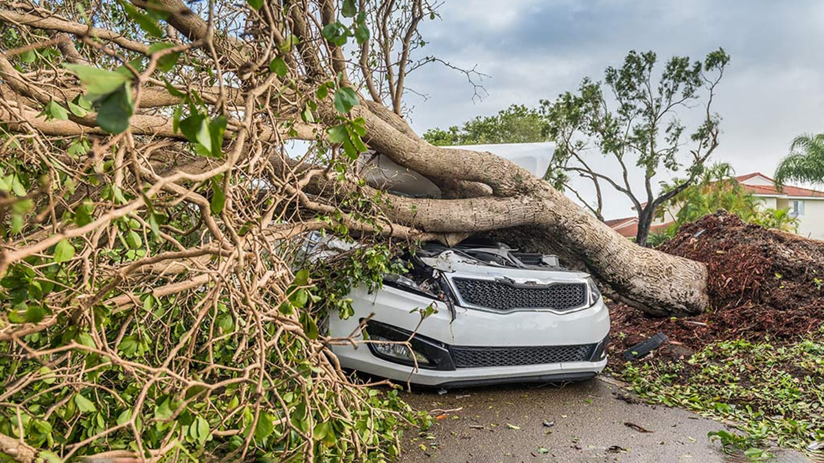 How Do You Protect Your Car During a Hurricane? Autotrader
