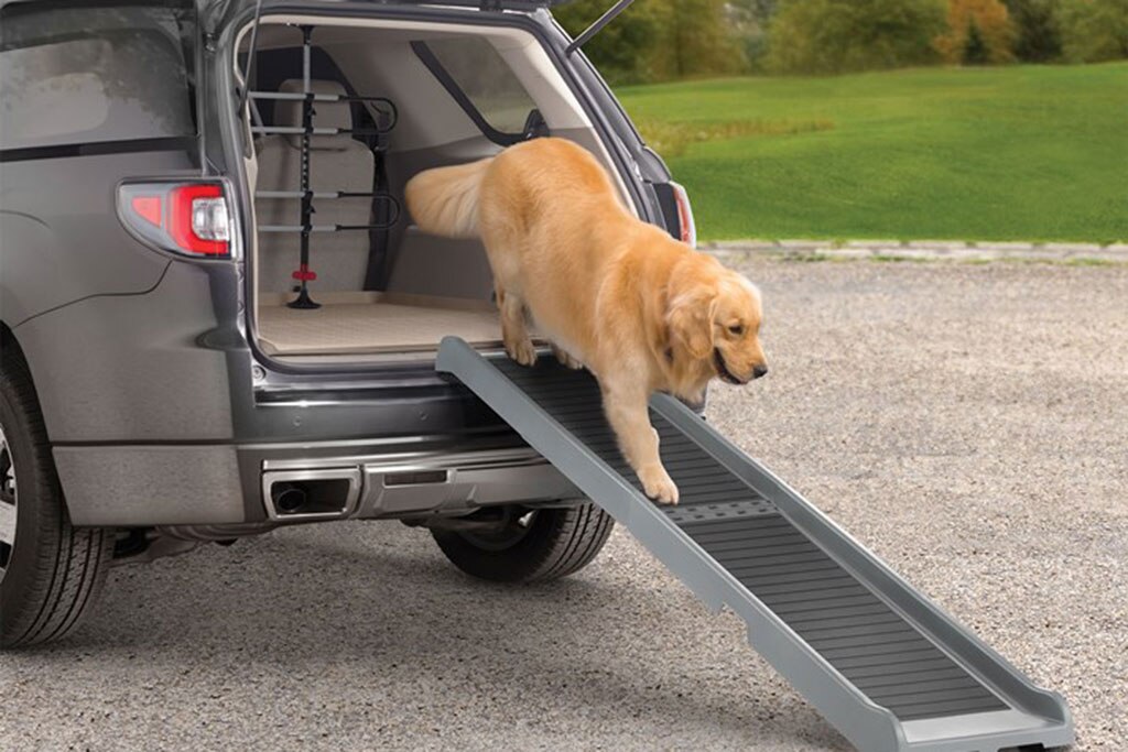 dog car accessories