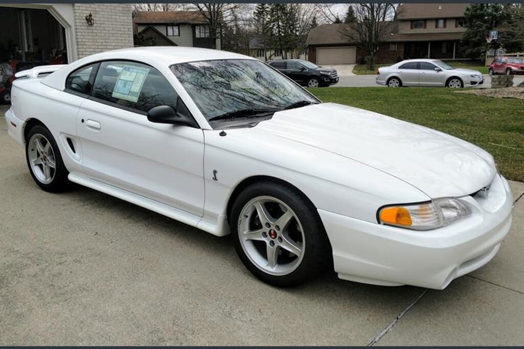 wallpapers Ford Mustang Cobra R For Sale 1995 ford mustang cobra r