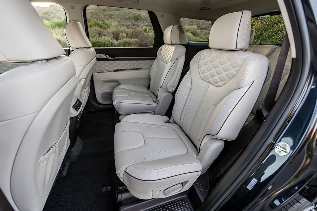 Palisade car on sale