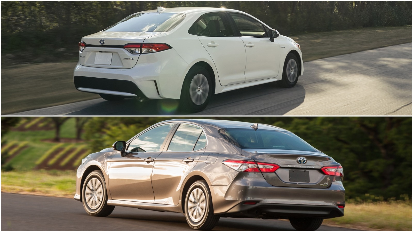 Toyota Corolla Hybrid Vs Toyota Camry Hybrid