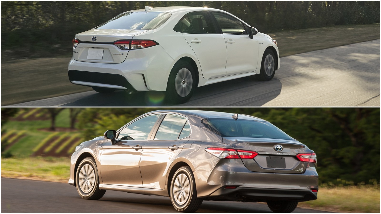 2020 Toyota Corolla Hybrid vs. 2020 Toyota Camry Hybrid What's the