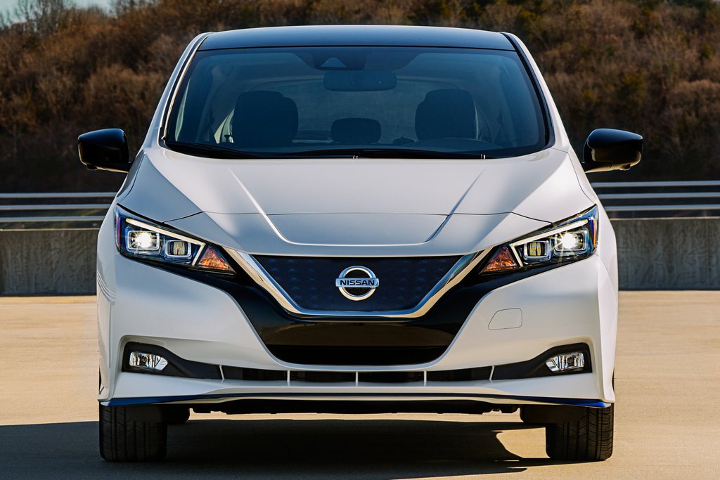 2021 leaf review discount