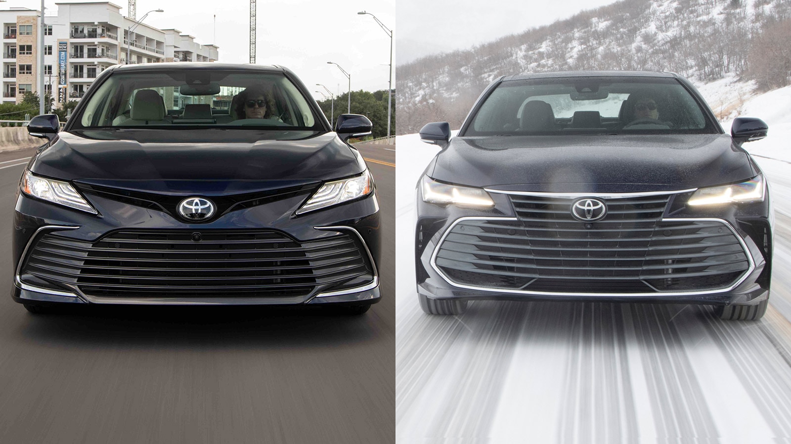 Avalon vs camry