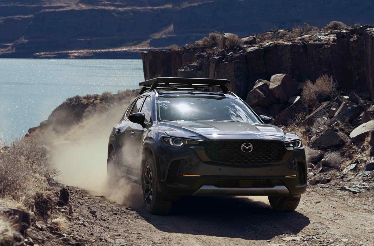 ferrari cx50 price
