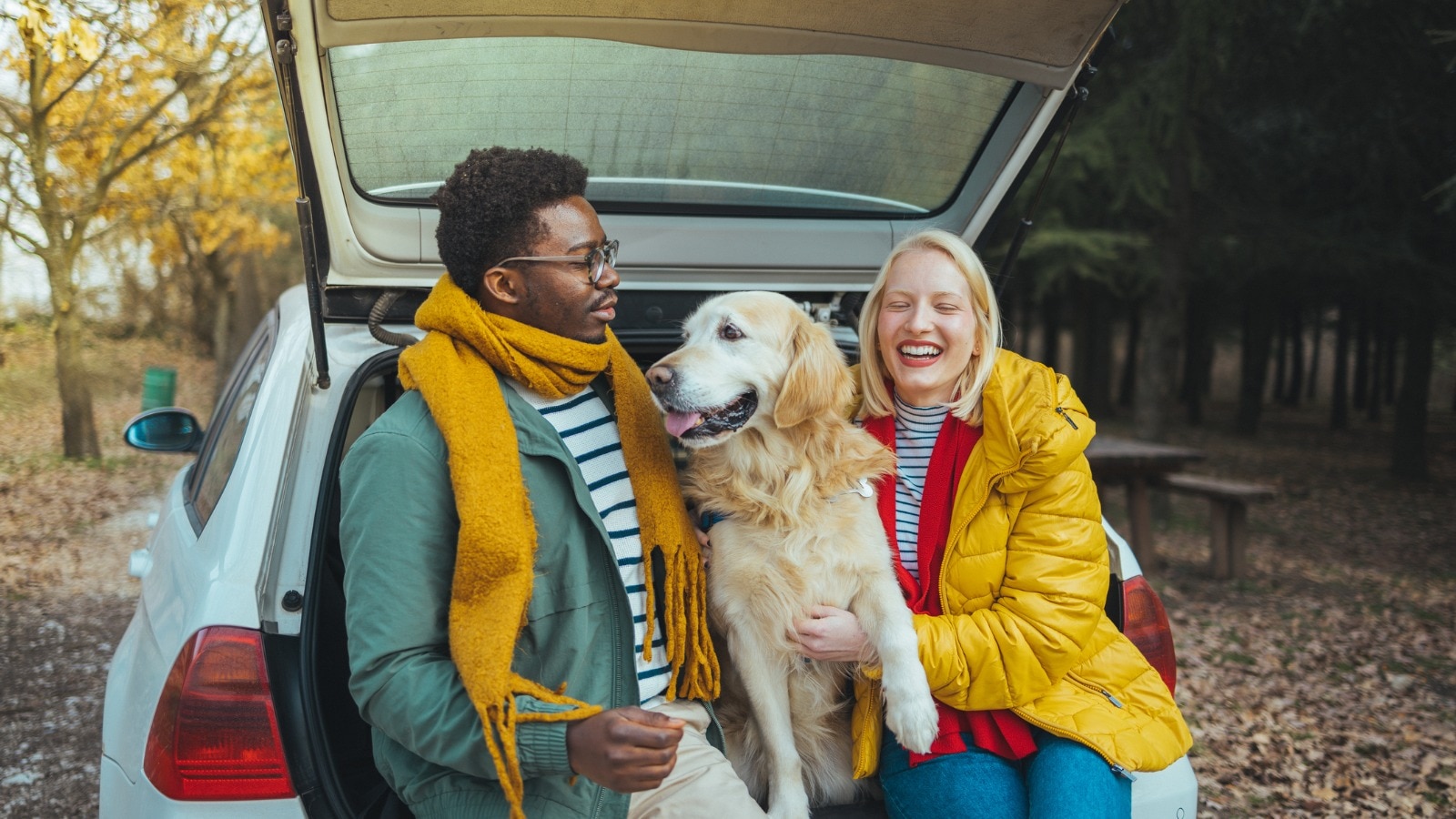 Whats The Best Way For A Dog To Travel In A Car
