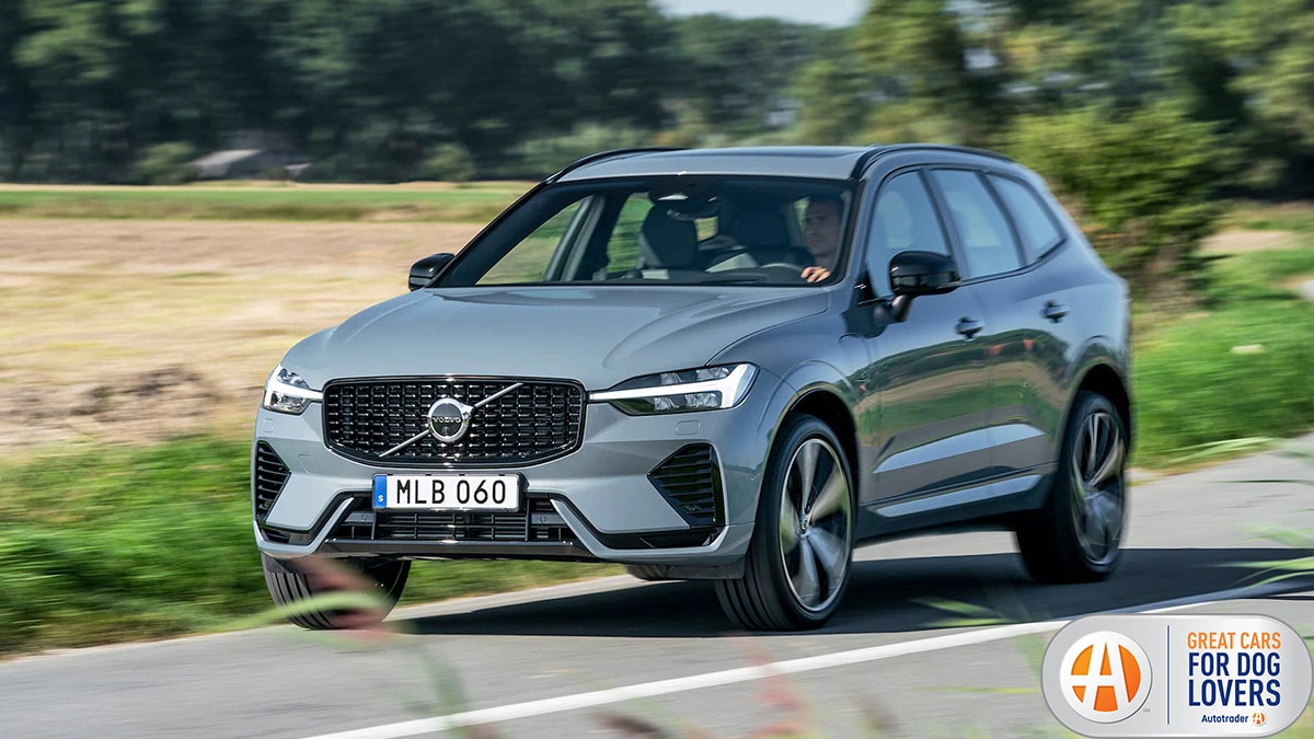 10 Best Cars for Dog Lovers Autotrader