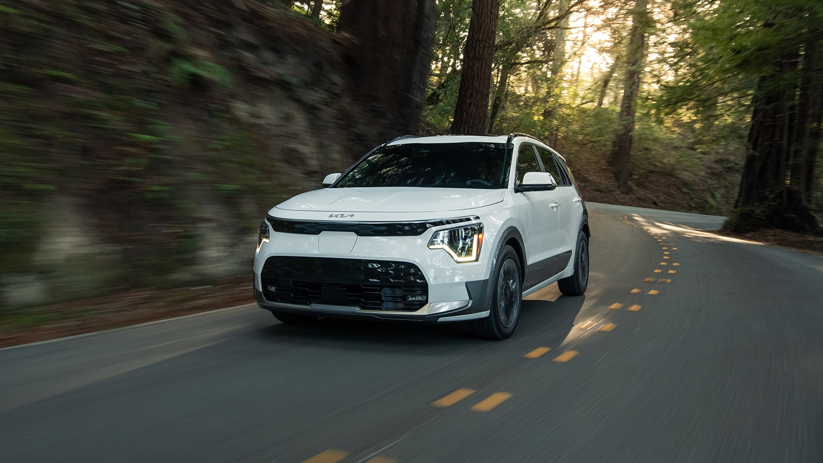 2023 Kia Niro EV Wave