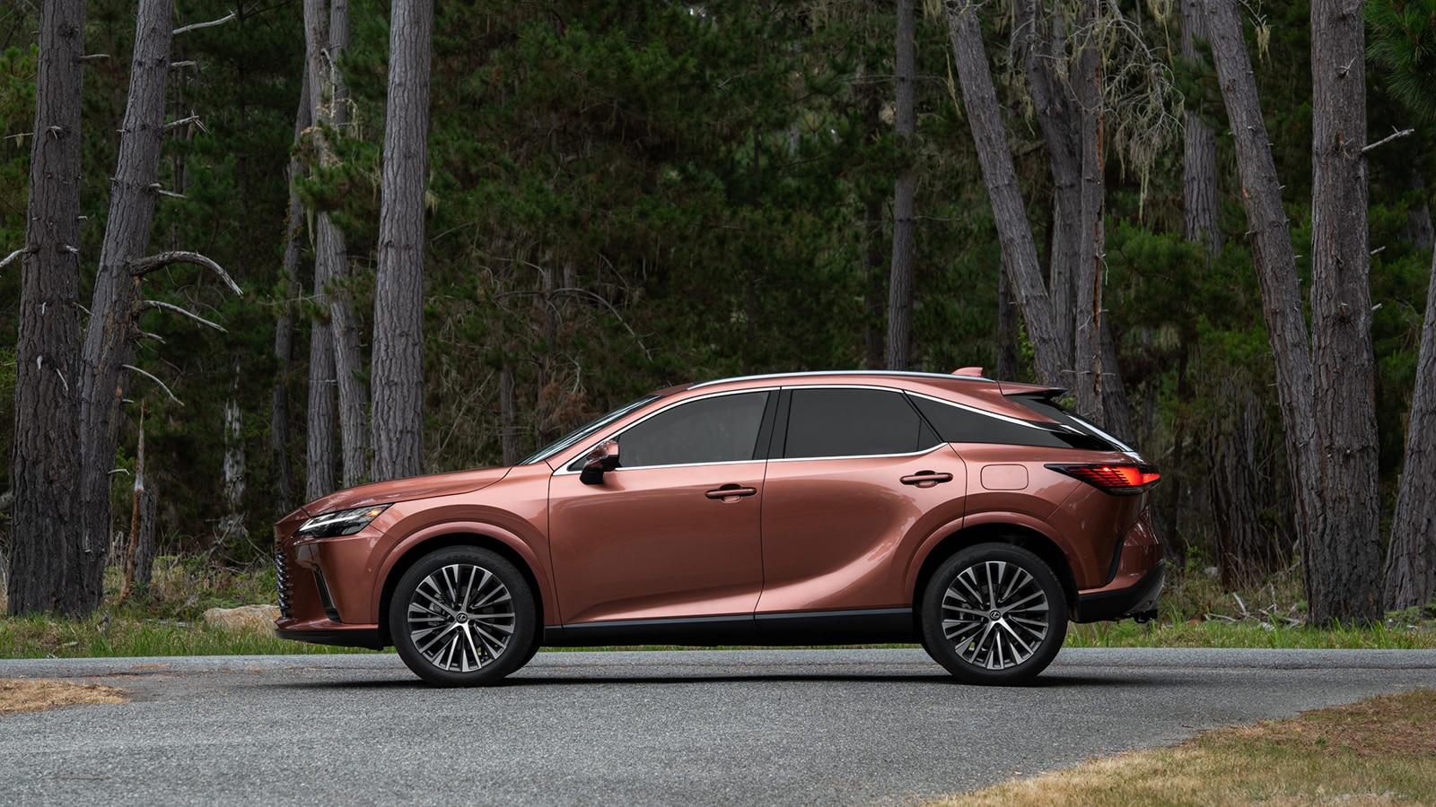 2023 Lexus RX 350 Premium profile