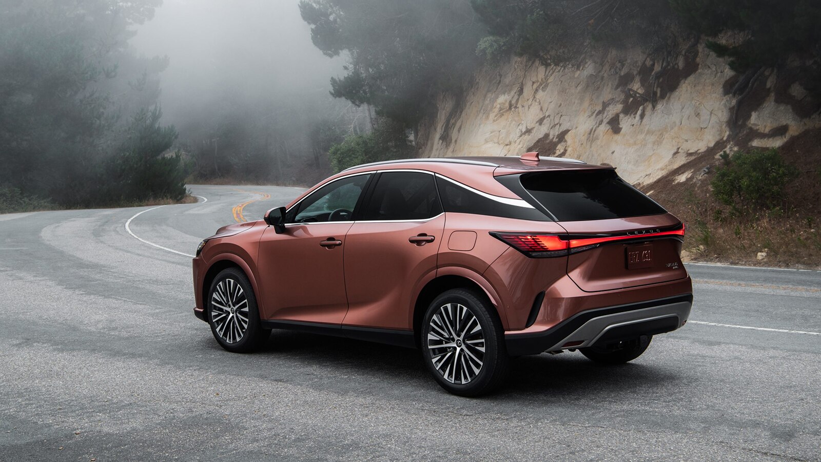 2023 Lexus RX 350 Premium rear left