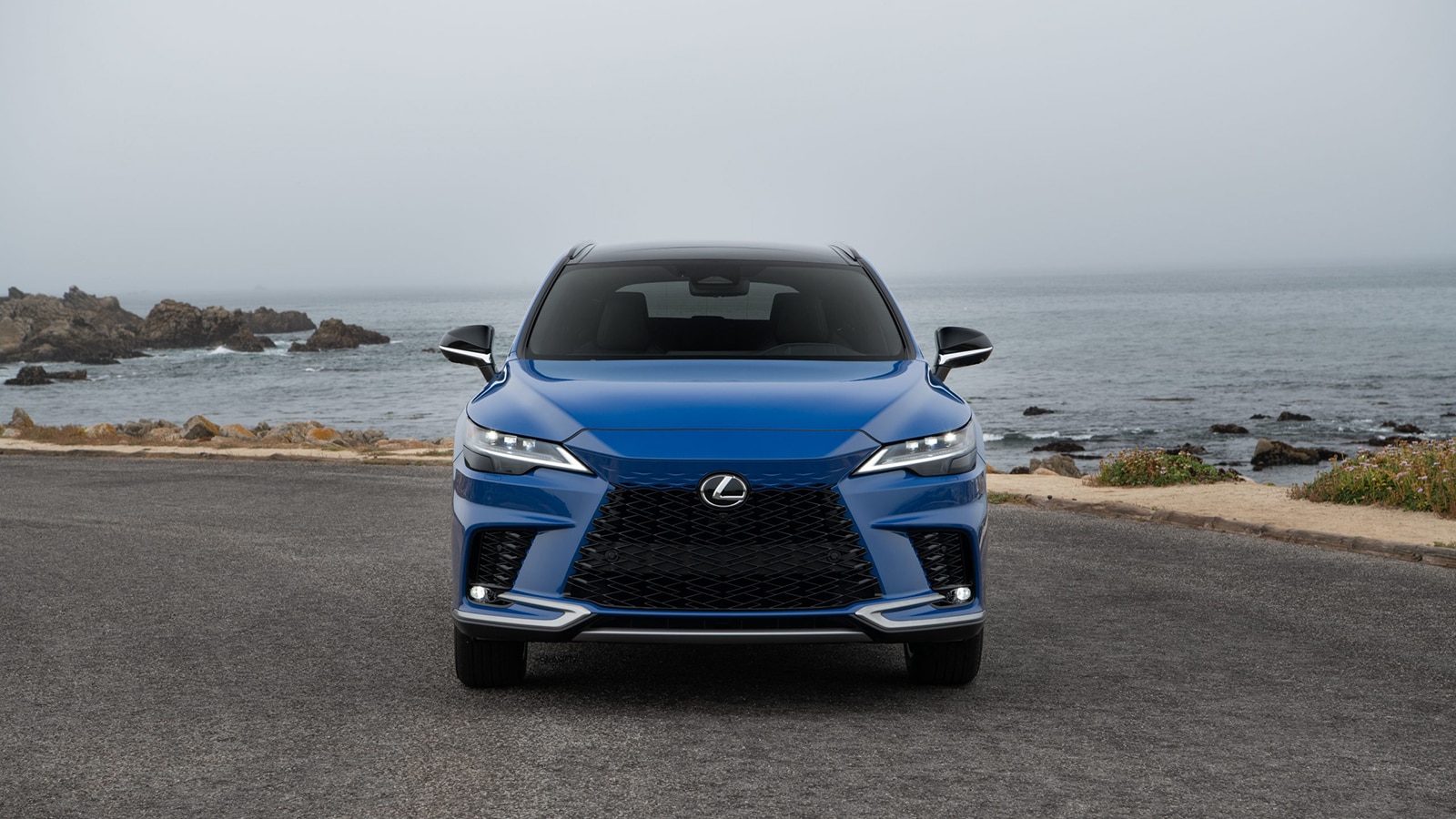 2023 Lexus RX 500h F Sport front