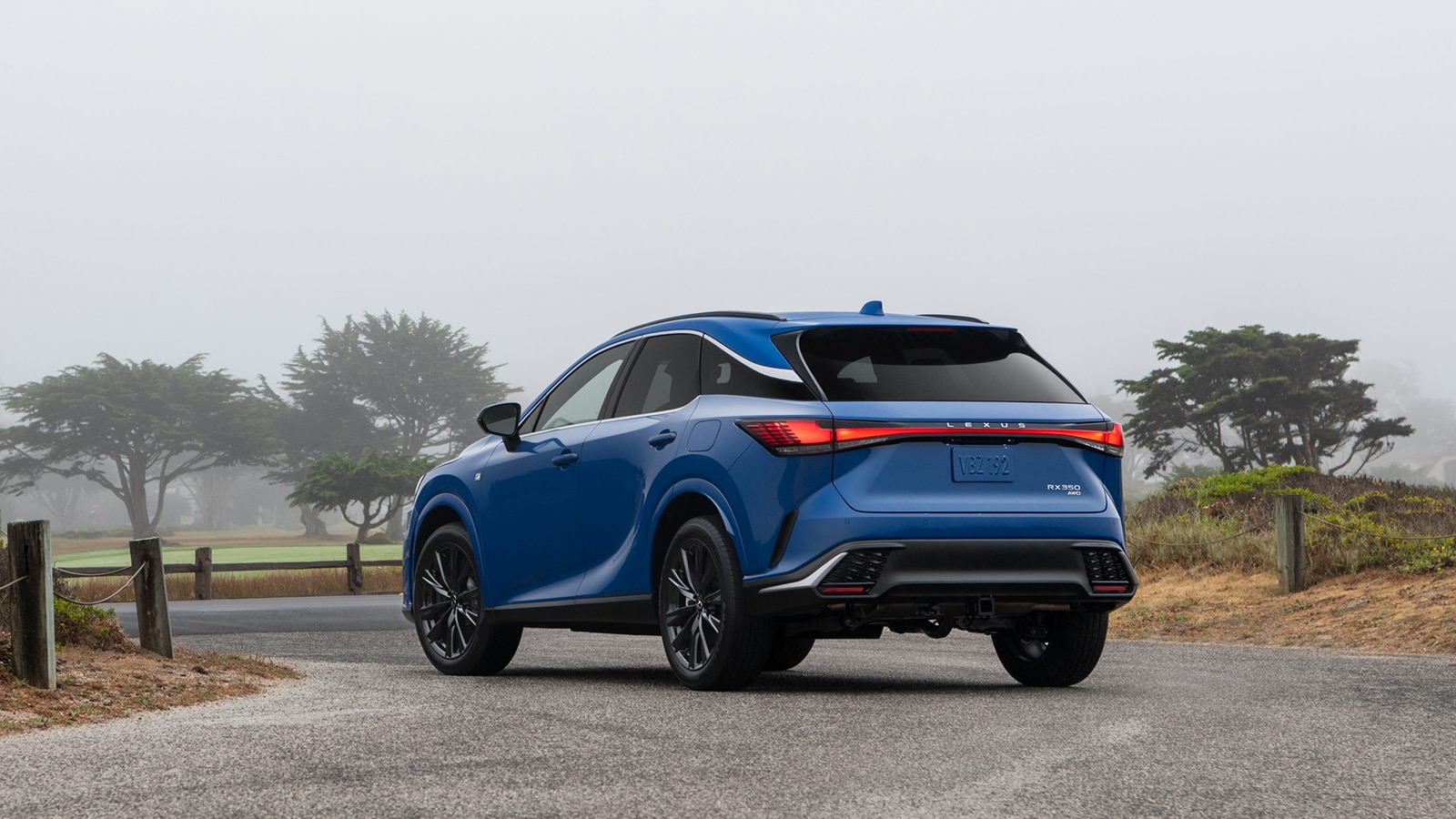 2023 Lexus RX 500h F Sport rear left