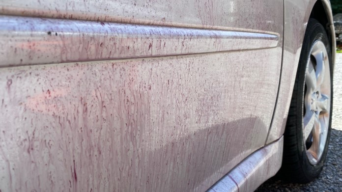 Chemical Paint Decontamination