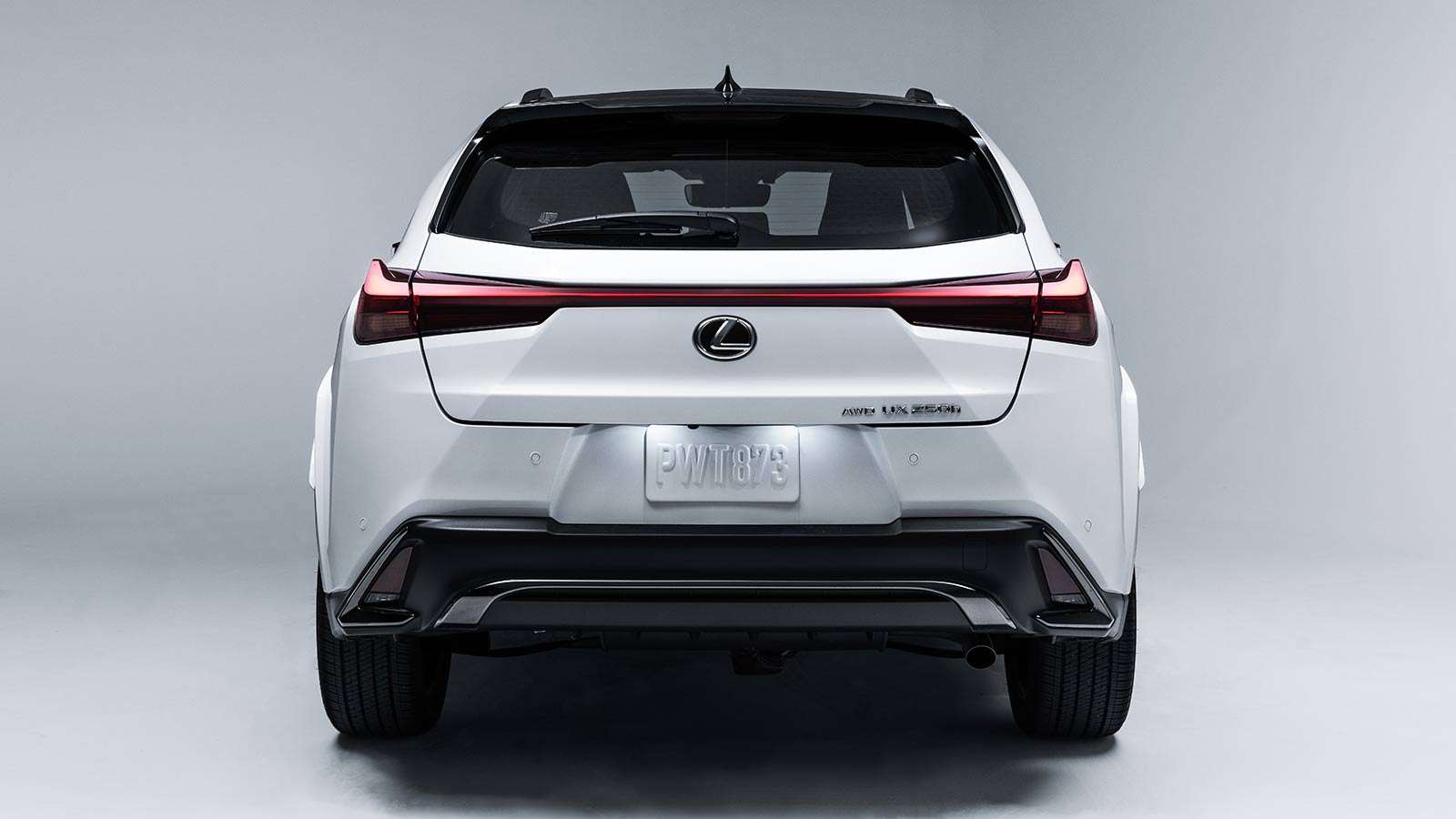 2023 Lexus UX 250h rear