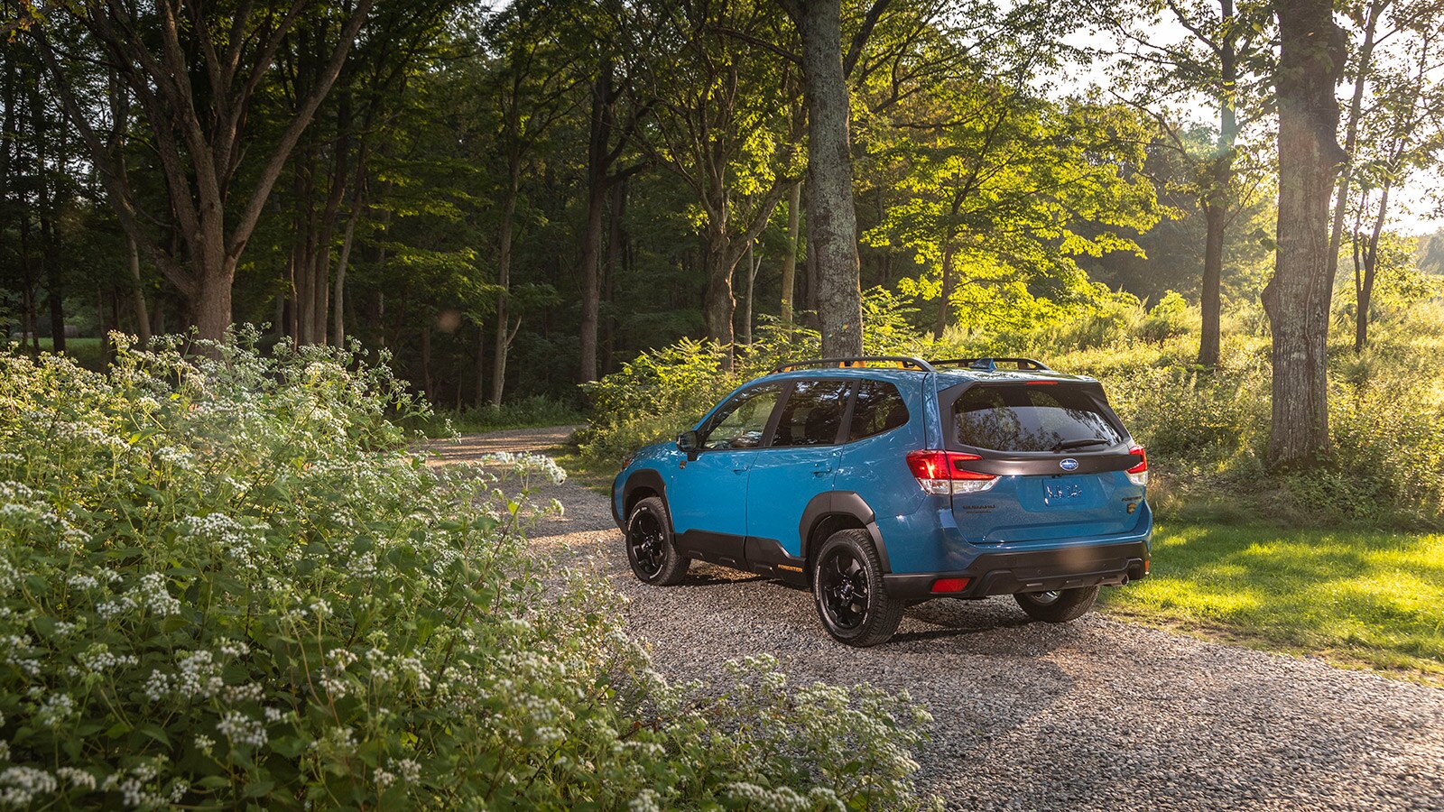 2022 Subaru Forester rear left in wilderness blue