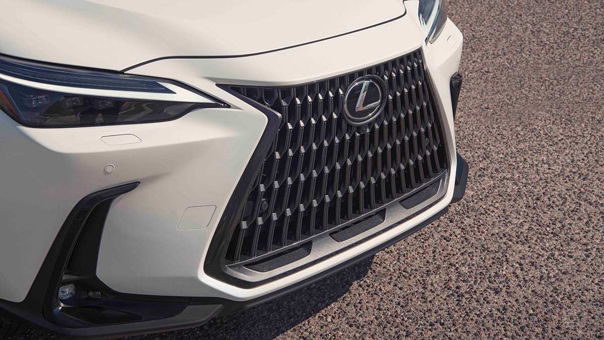 2024 Lexus NX 250 in white.