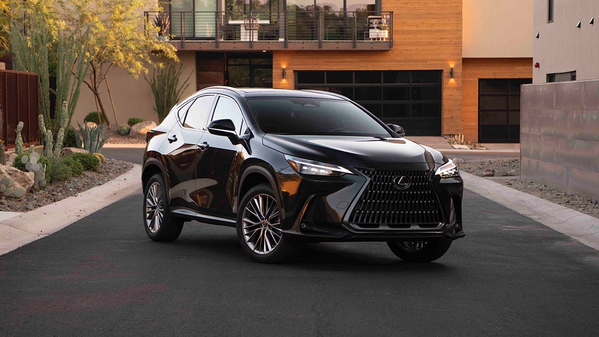 2024 Lexus NX Choosing the Right Trim Autotrader