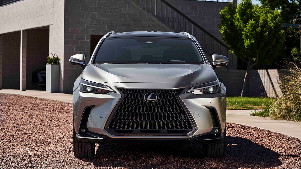 2024 Lexus NX 350h in gray.