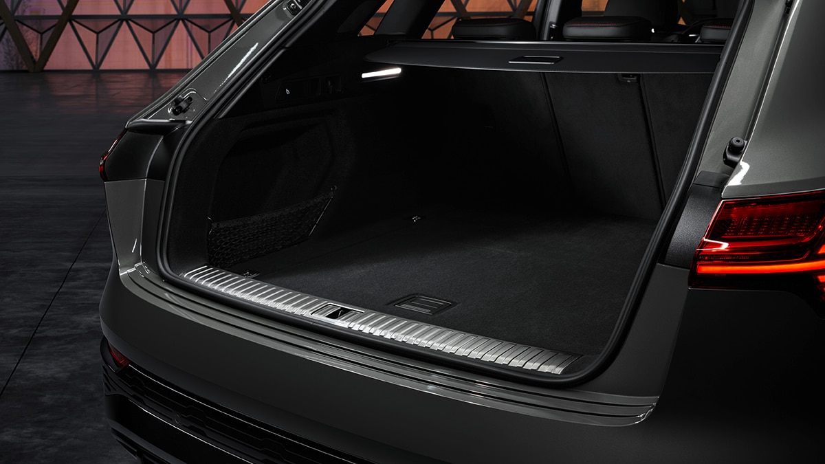 Audi Q8 e-tron interior