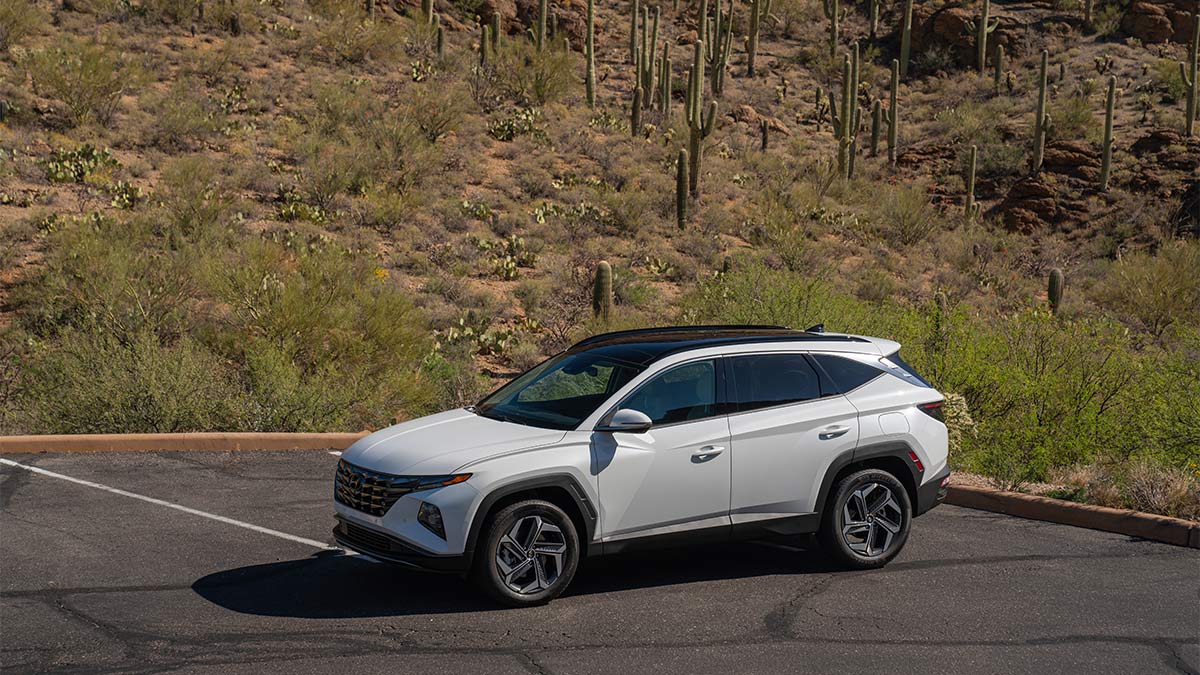 2024 Hyundai Tucson in white.