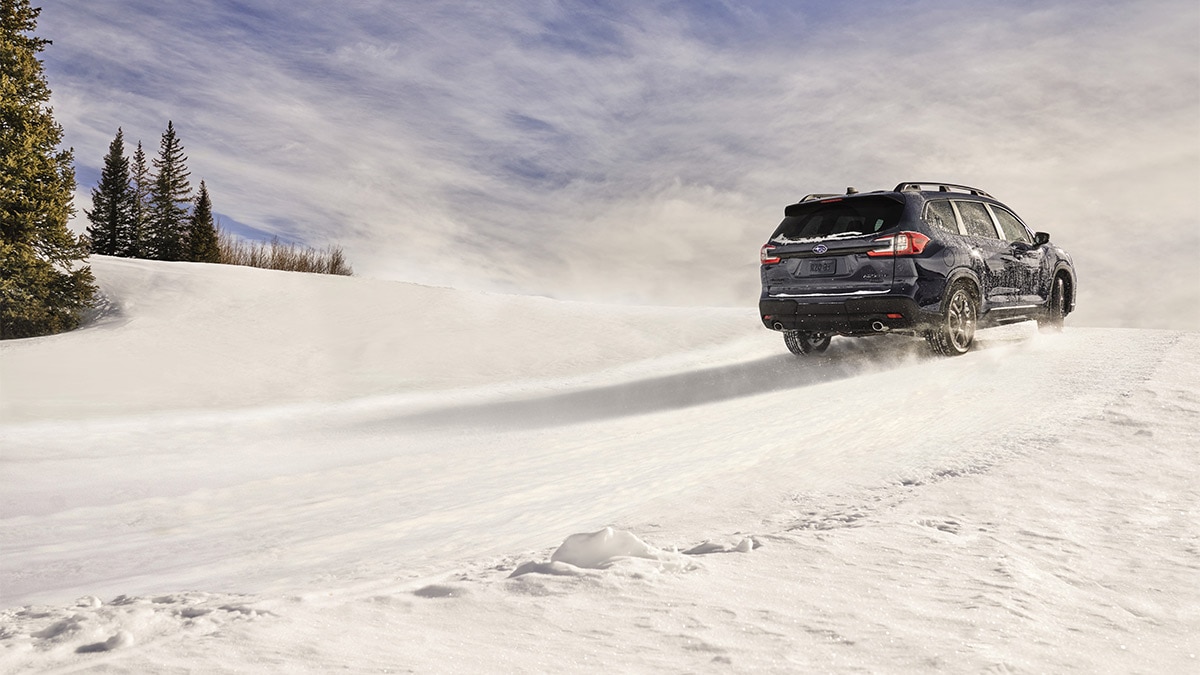 2024 Subaru Ascent in black.