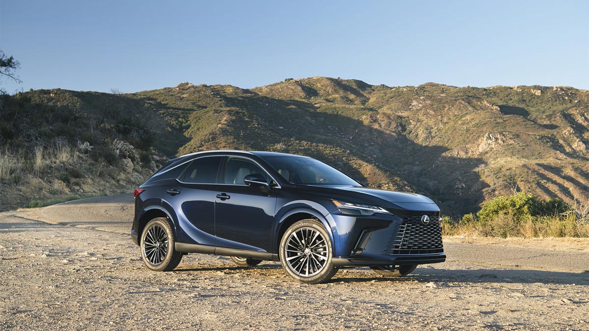 2024 Lexus RX in dark blue.