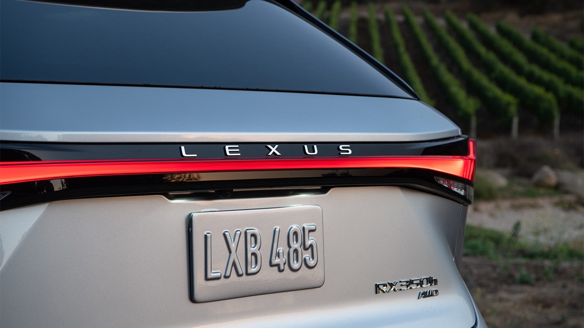 2024 Lexus RX in grey.
