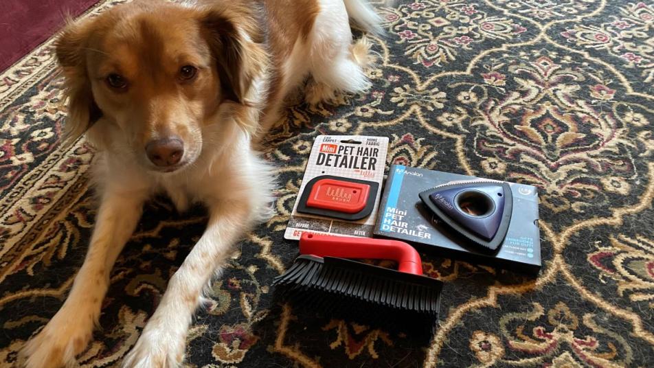 How to Remove Dog Hair From Cars