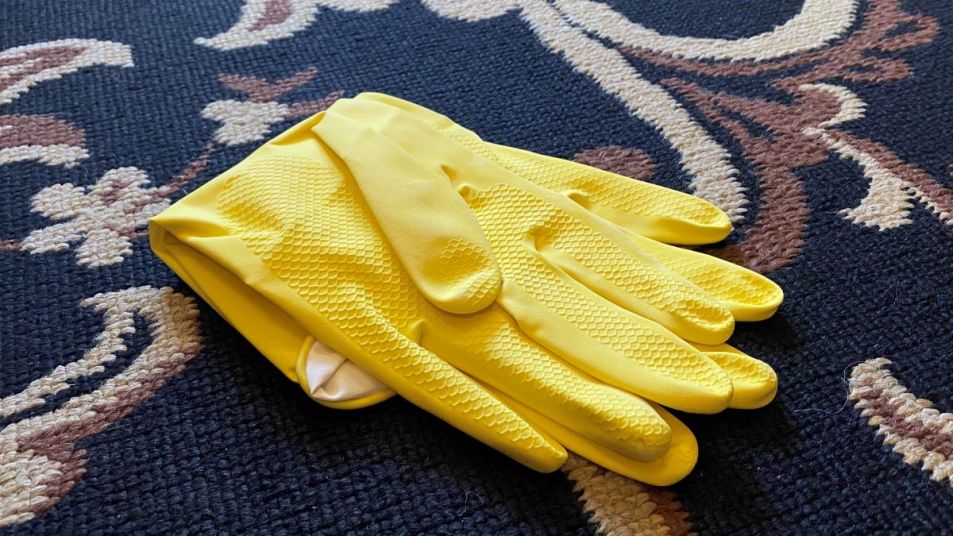 Rubber Gloves