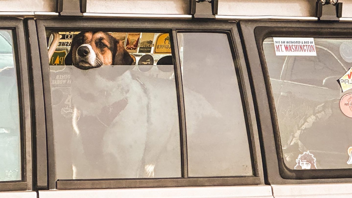 Another photo of Pearl, this one in her Montero, driven by Glucker.