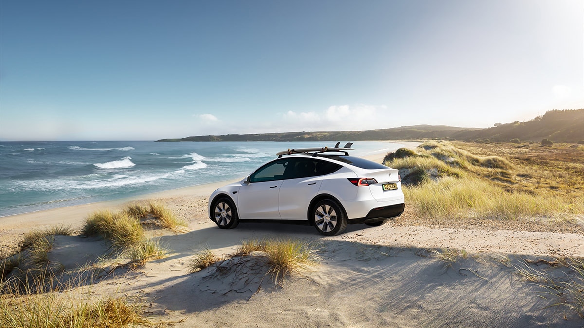 2024 Tesla Model Y Choosing the Right Trim Autotrader