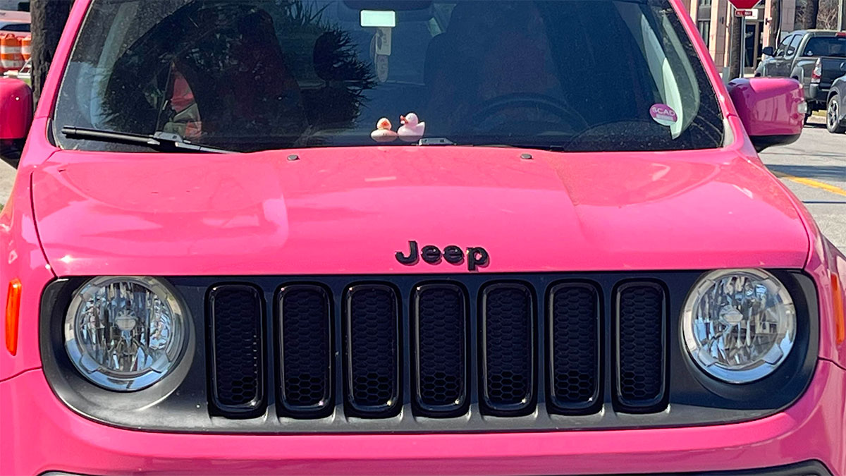 2 pink ducks on a pink Jeep.