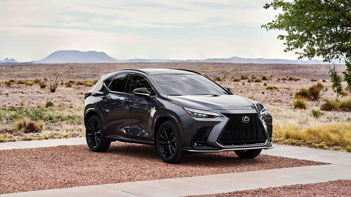 2025 Lexus NX